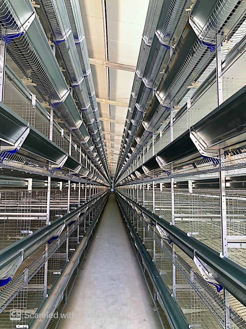 Poultry cage systems
